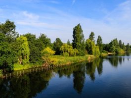 Hyde Park