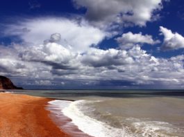 mare