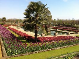 Kensington Garden